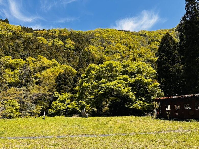 青空の下、新緑の山と草地が広がるキャンプ場