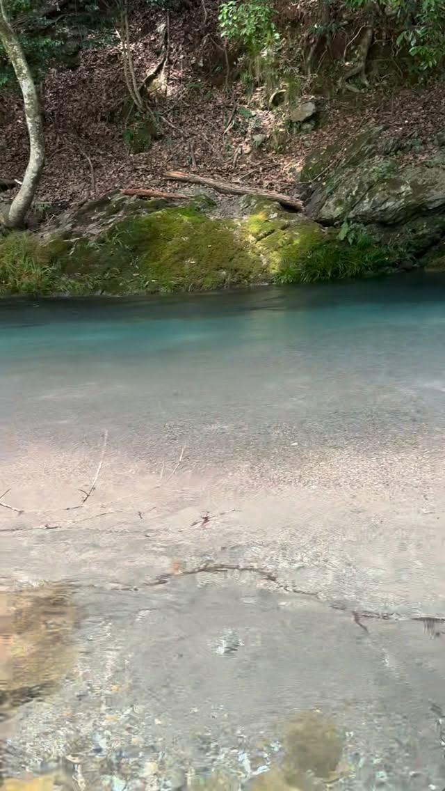 芹川のエメラルド色の淵