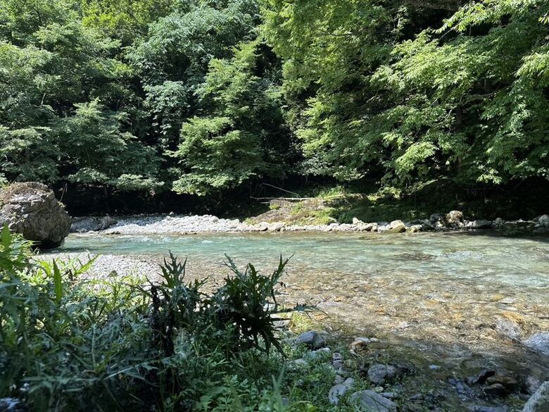 木々に囲まれた澄んだ川