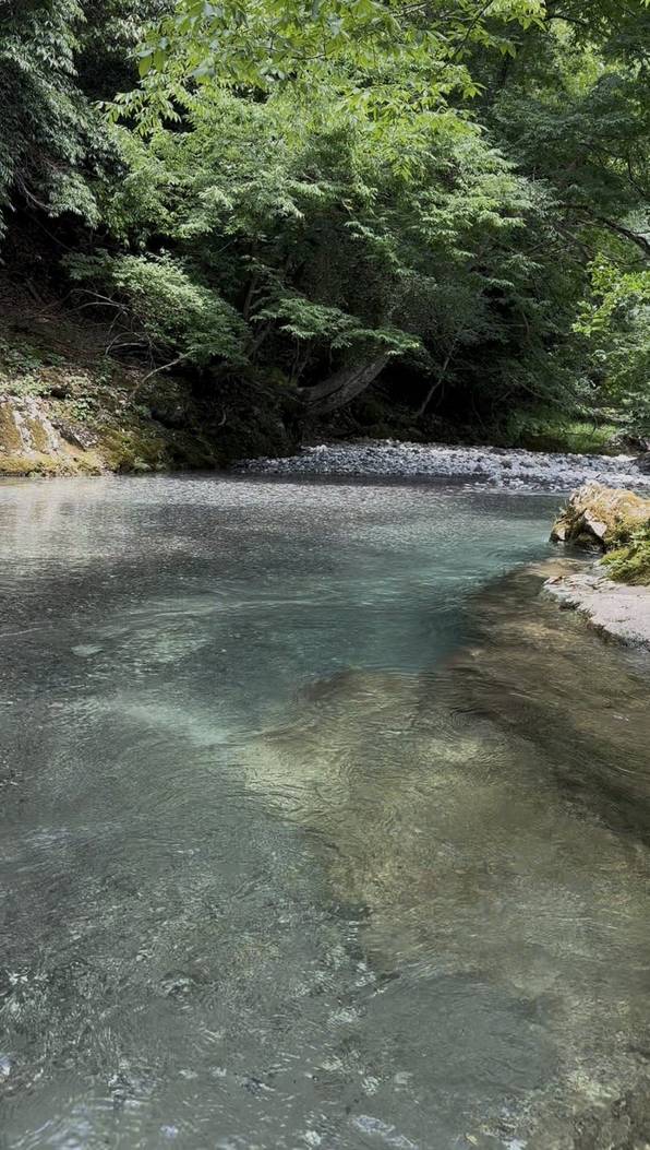 近くを流れる川の淵