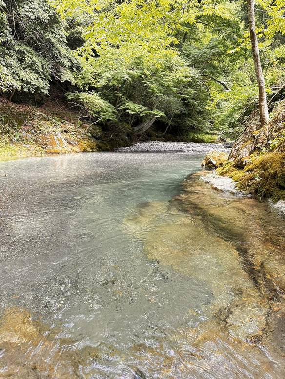 近くを流れる川の流れ